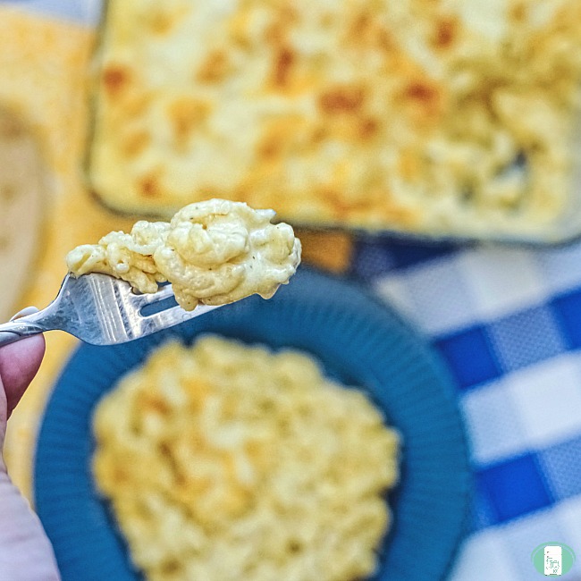 a fork lifts a bite of macaroni and cheese