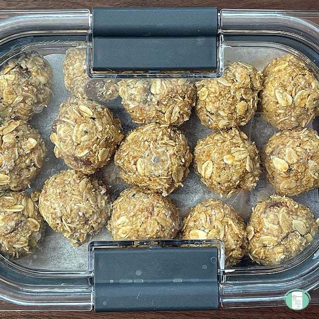 Energy Bites - Freezer Meals 101 Club