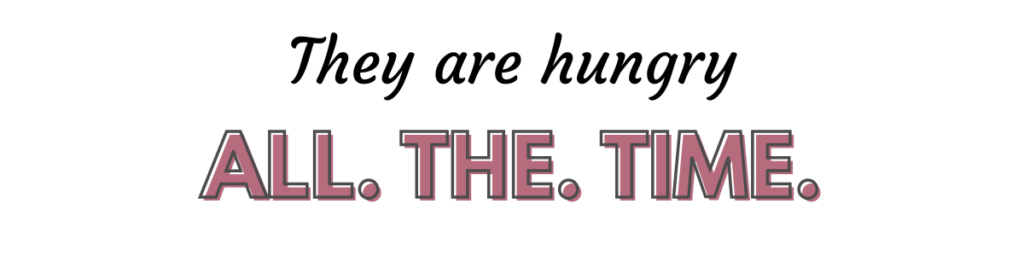 they are hungry all the time